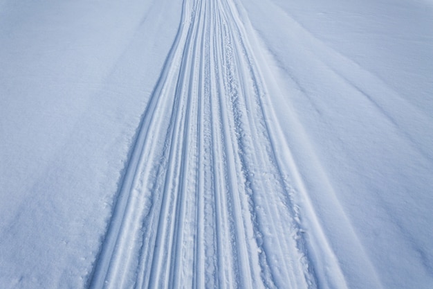 Rastros de esquís y trineos en la nieve.