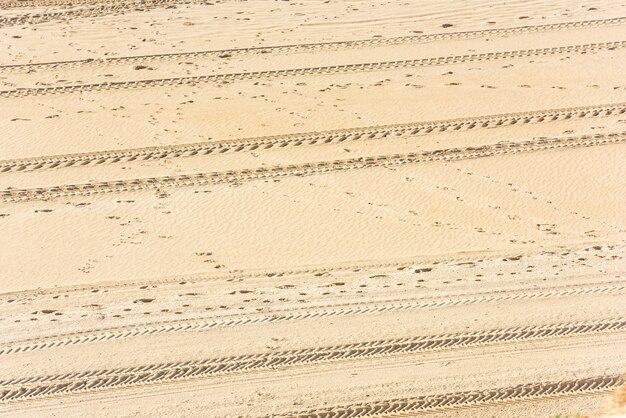 Rastros de neumáticos de coche en la arena como fondo