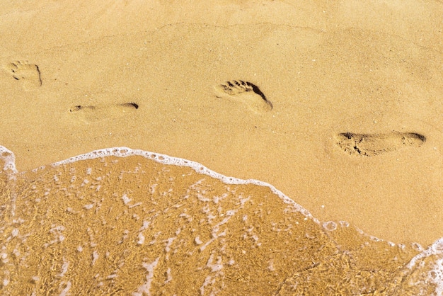 Rastros de piernas humanas y agua en la superficie arenosa de la playa o costa