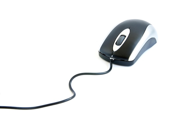 El ratón de la computadora