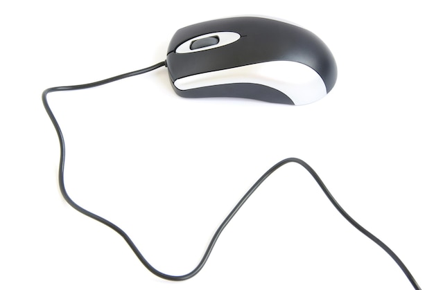 El ratón de la computadora