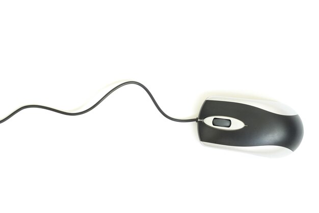 El ratón de la computadora