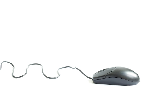 El ratón de la computadora