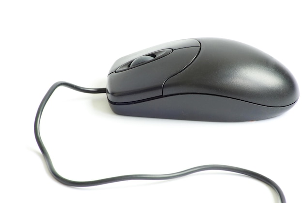 ratón de computadora