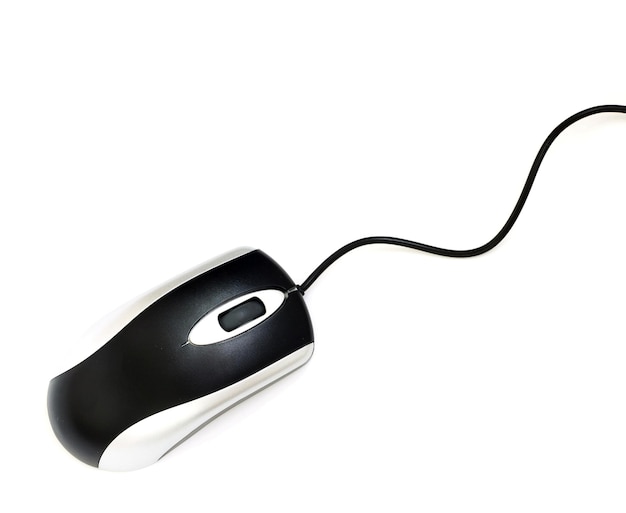 El ratón de la computadora