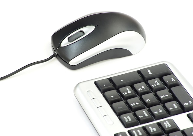 El ratón de la computadora