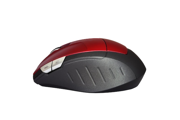 El ratón de la computadora