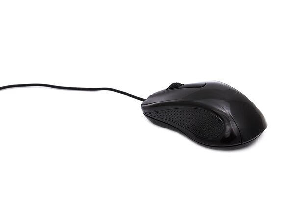 El ratón de la computadora