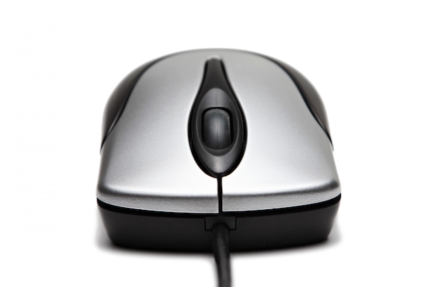 El ratón de la computadora