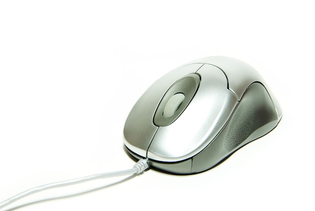 El ratón de la computadora
