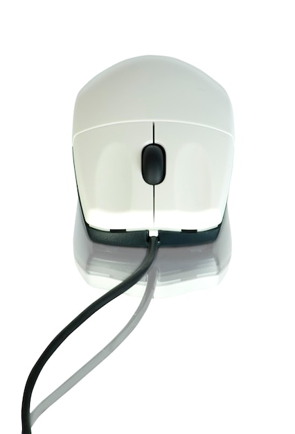 ratón de computadora