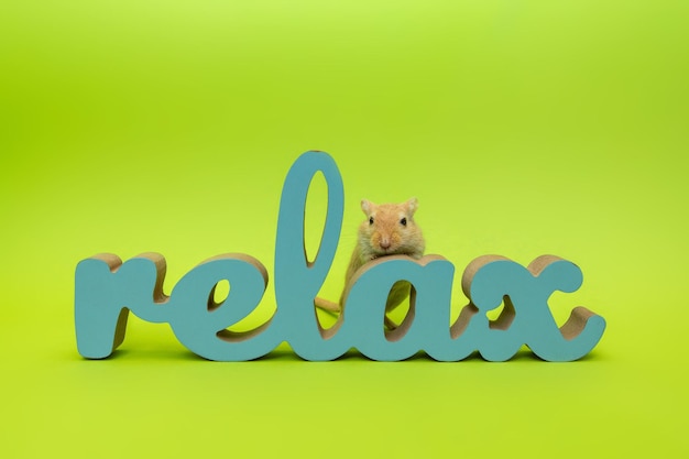 Ratón con letras de madera relax