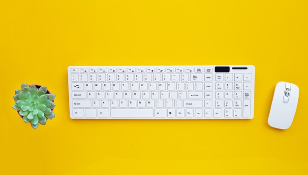 Ratón y teclado de computadora blanco con cactus en superficie amarilla