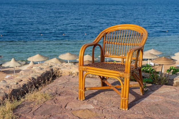 Rattanstuhl am tropischen Strand nahe dem Meer in Sharm El Sheikh, Ägypten. Reise- und Naturkonzept