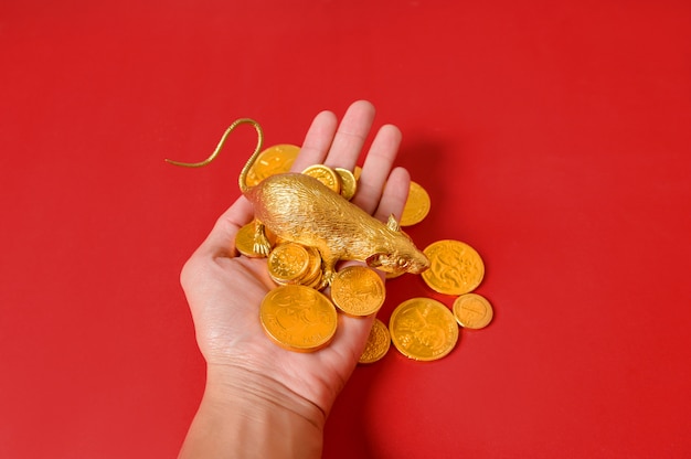 Foto rattengold und ein goldmünzenstapel auf einer hand mit einem roten hintergrund, guten rutsch ins neue jahr-chinese.