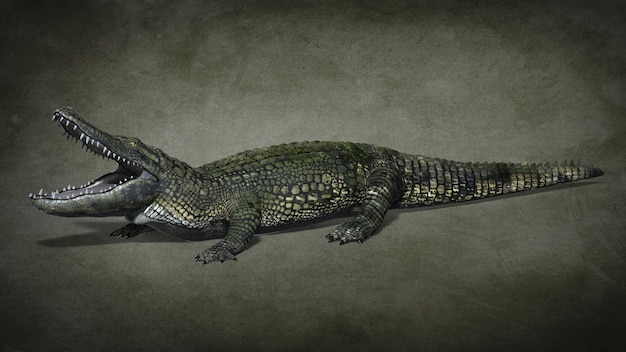 Foto raubtierisches krokodil. 3d-darstellung
