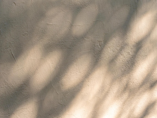 Raue Gebäudewandstruktur mit Baumschatten