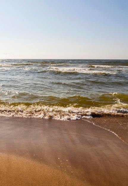 Rauschende Welle an einem sonnigen Tag am Sandstrand der Ostsee in Palanga Litauen