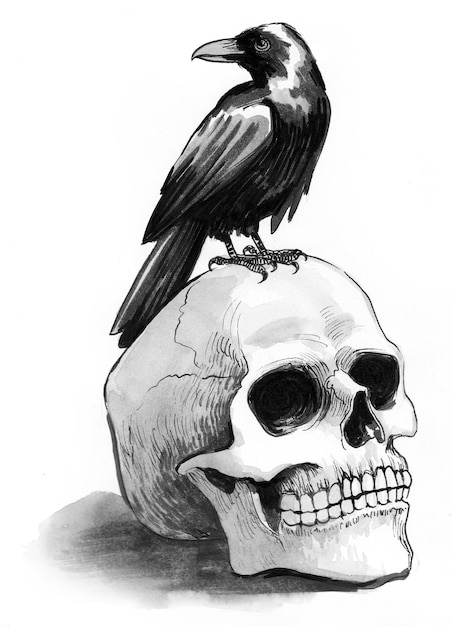 Raven sentado no crânio humano. Desenho a tinta e aguarela