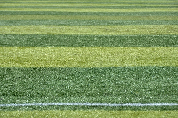 Rayas de hierba del campo de fútbol