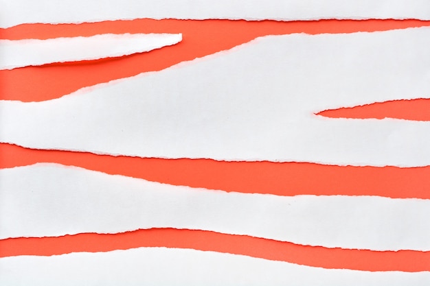 Rayas rasgadas de papel blanco sobre fondo de papel de color coral