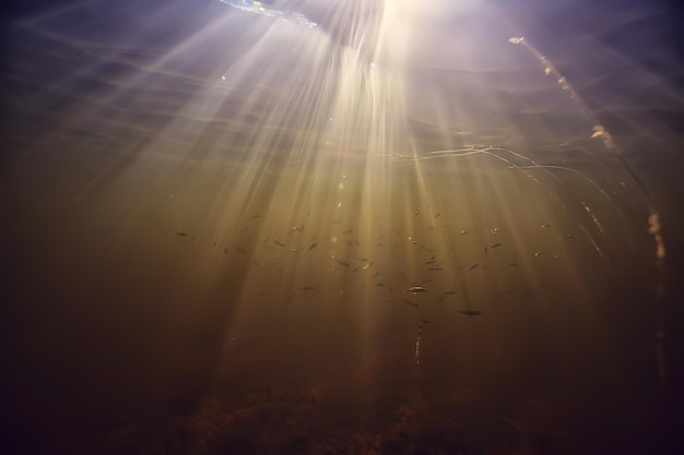 rayos de luz bajo el agua lago fresco, fondo abstracto naturaleza paisaje sol agua