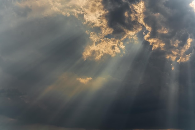 Rayos de luz brillando