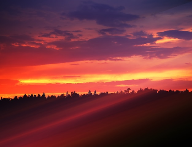 Rayos de luz dramáticos sobre el fondo del paisaje del bosque al atardecer