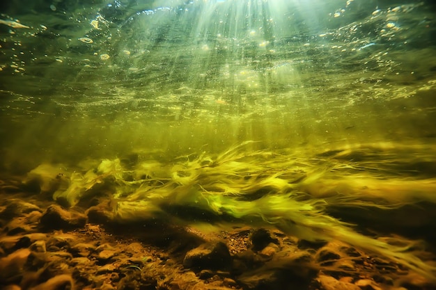 rayos de sol bajo el agua paisaje, paisaje marino agua dulce río buceo