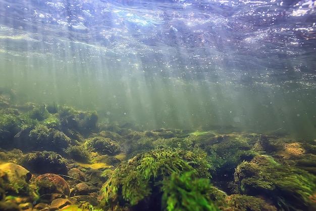 rayos de sol bajo el agua paisaje, paisaje marino agua dulce río buceo