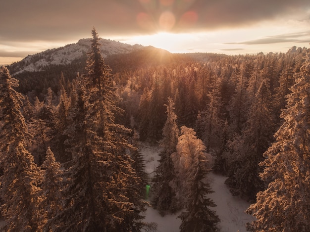 Rayos de sol en bosque de invierno