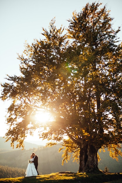 Los rayos del sol brillan entre la pareja viendo la puesta de sol a través del árbol