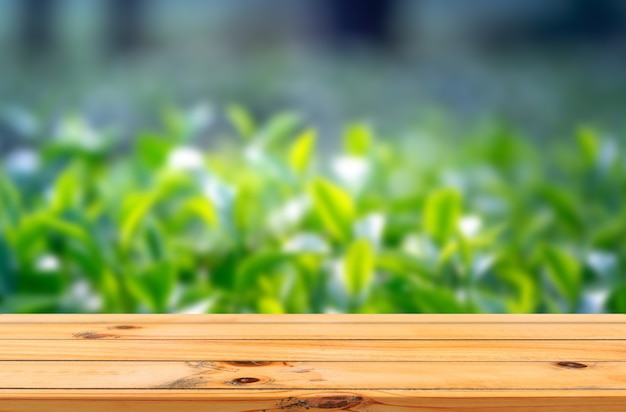 Foto los rayos del sol en el fondo de las hojas del árbol del té con la exhibición del producto de la mesa de madera