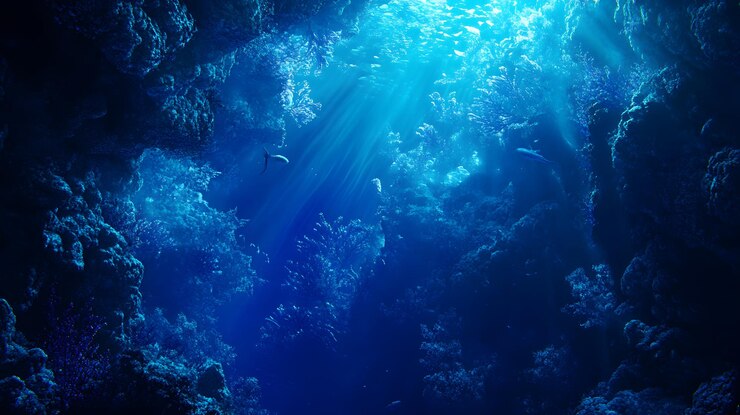 Los rayos de sol iluminan el arrecife de coral submarino