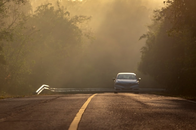 Los rayos del sol a través de la niebla iluminando una carretera escénica curva rodeada de un hermoso bosque verde con efectos de luz y sombras. Parque Nacional Kaeng Krachan, Phetchaburi - Tailandia