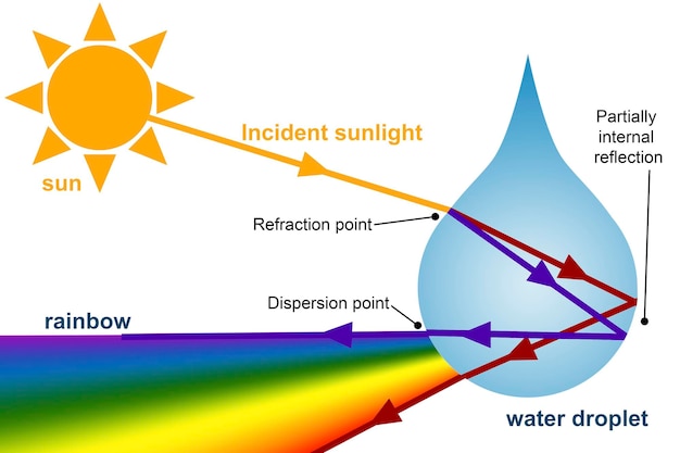 Razón detrás del arco iris en el cielo