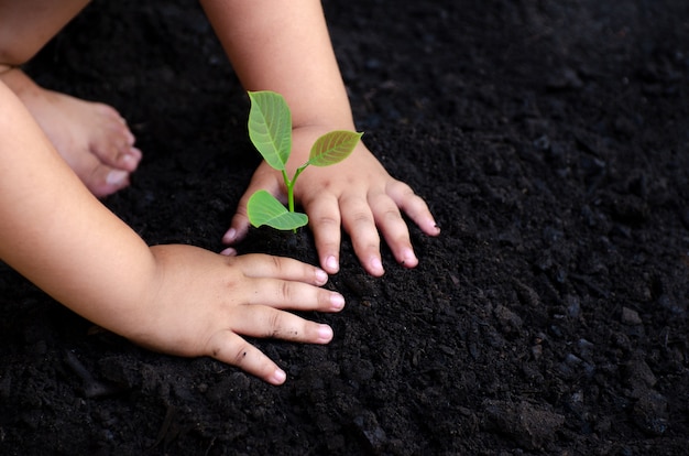 Árbol de árbol Baby Hand En el suelo oscuro, el concepto implantado para niños en el entorno