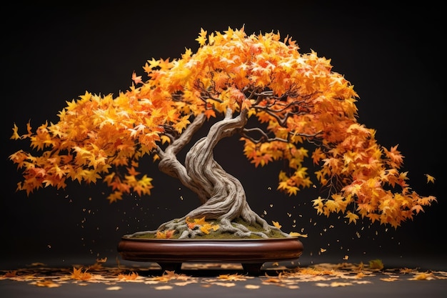 Árbol de bonsai con hojas que caen