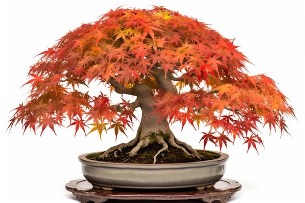 Árbol bonsái con hojas rojas vibrantes en una maceta pequeña IA generativa