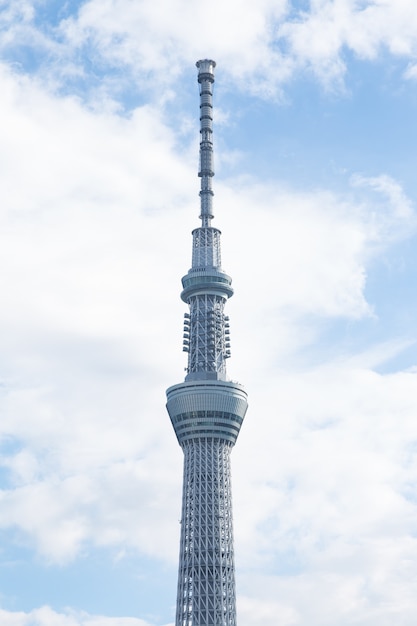 Árbol del cielo de Tokio