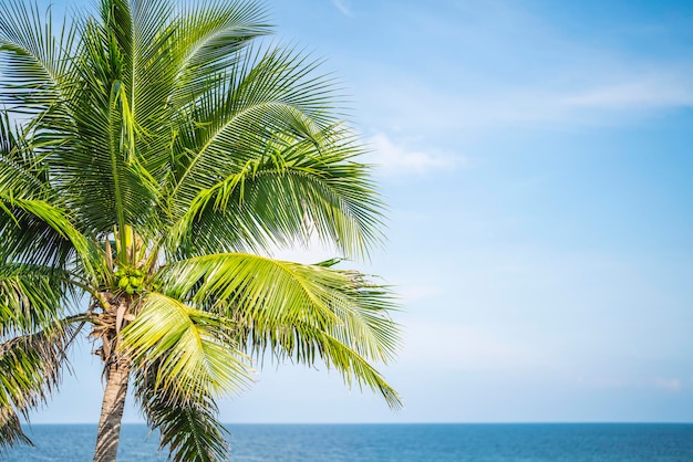 Árbol de coco con fondo de cielo y mar azul tropical