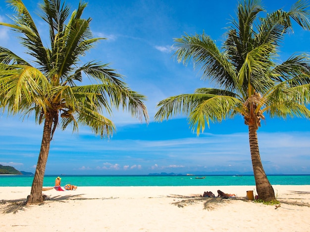 Árbol de coco en la playa de arena blanca con mar de agua turquesa y en un día soleado de verano