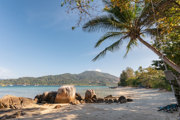 Árbol de coco con rocas en la playa en el mar tropical