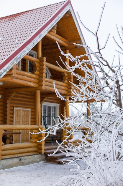 Árbol congelado de tamaño medio cubierto de nieve en primer plano y bonita casa de campo de madera con techo de tejas rojas en el fondo Descansar en el campo lejos de la vida de la gran ciudad Más cerca de la naturaleza