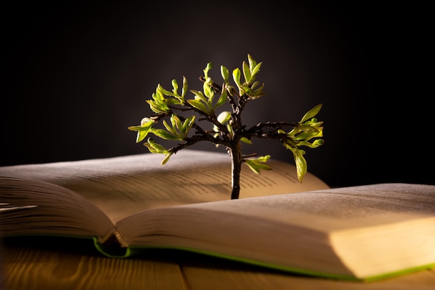 Árbol en crecimiento con hojas verdes de un libro abierto