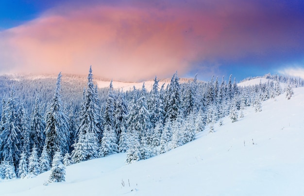 Árbol cubierto de nieve de invierno mágico