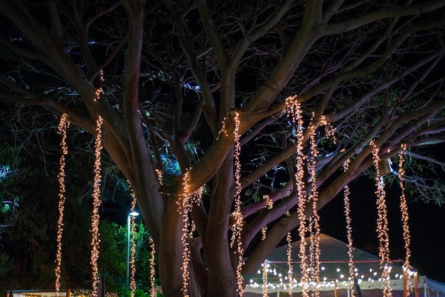 Árbol decorado con luces LED