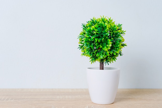 Árbol decorativo en maceta en la mesa de madera