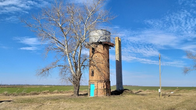 Árbol desnudo en el campo contra el cielo