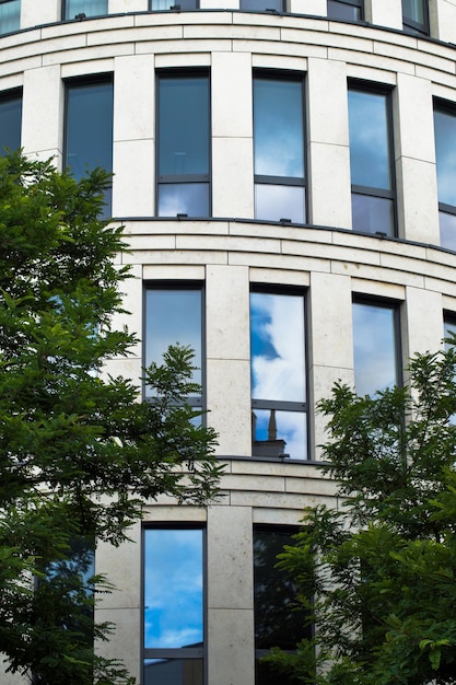 Árbol por edificio en la ciudad